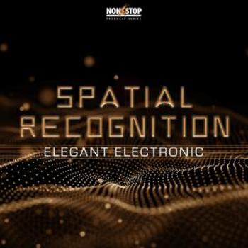 Spatial Recognition