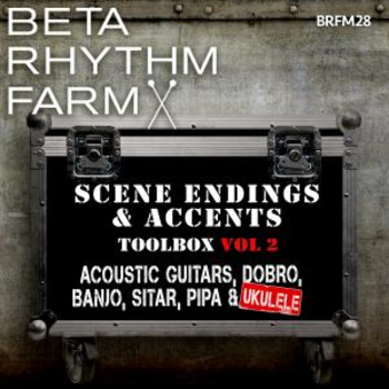 BRFM028 - Scene Endings & Accents Toolbox Vol 2 Acoustic Guitars, Dobro, Banjo, Sitar, Pipa & Ukulele BRFM28