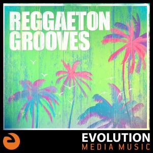 Reggaeton Grooves