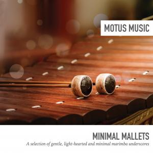 Minimal Mallets