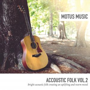Acoustic Folk Vol.2