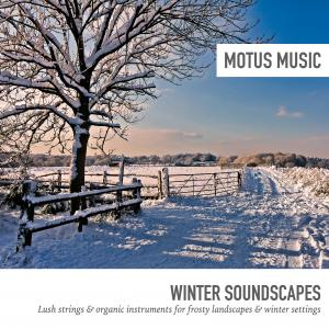 Winter Soundscapes