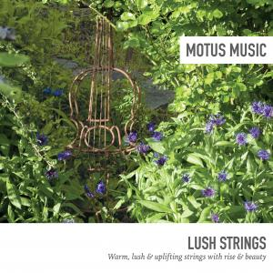 Lush Strings