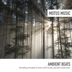 Ambient Beats