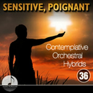 Sensitive, Poignant 36 Contemplative Orchestral Hybrids