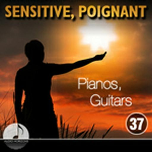 Sensitive, Poignant 37 Pianos, Guitars
