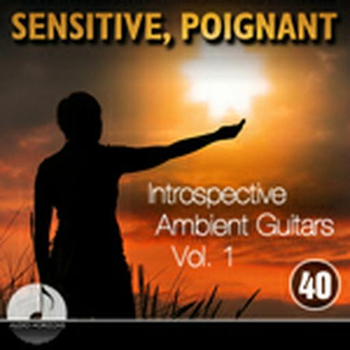 Sensitive, Poignant 40 Introspective Ambient Guitars Vol 1