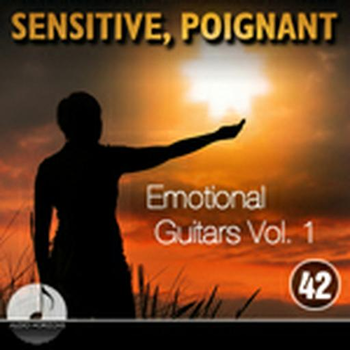 Sensitive, Poignant 42 Emotional Guitars Vol 1