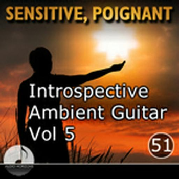 Sensitive, Poignant 51 Introspective Ambient Guitars Vol 5