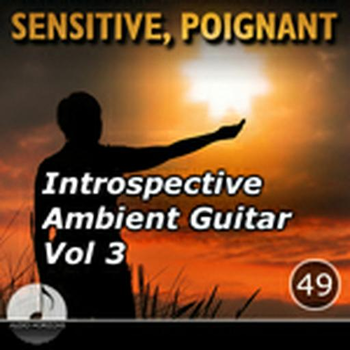 Sensitive, Poignant 49 Introspective Ambient Guitars Vol 3b
