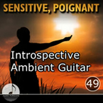 Sensitive, Poignant 49 Introspective Ambient Guitars Vol 3a