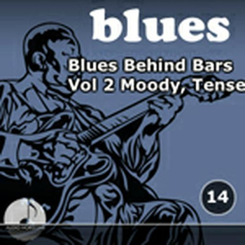 Blues 14 Blues Behind Bars Vol 2 Moody, Tense