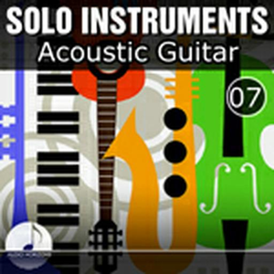 Solo Instruments 07 Acoustic Guitar