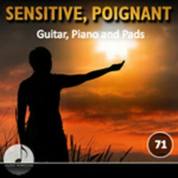 Sensitive Poignant 71 Guitar, Piano, Pads