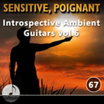 Sensitive Poignant 67 Introspective Ambient Guitars Vol 06