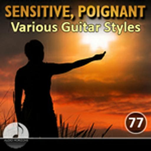 Sensitive Poignant 77 Various Guitar Styles