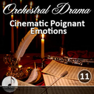 Orchestral 11 Cinematic Poignant Emotions