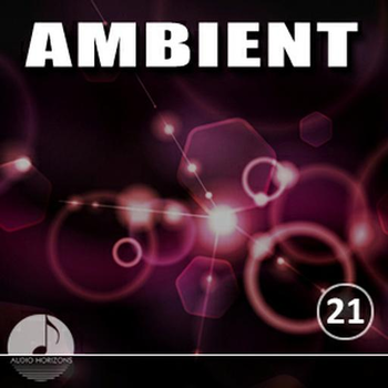 Ambient Vol 21