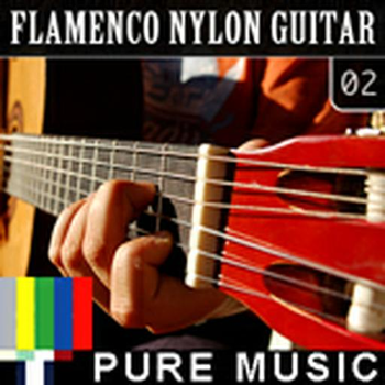 Flamenco Nylon Guitar 02