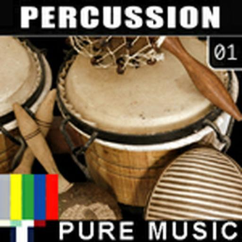 Percussion 01