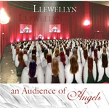 An Audience Of Angels