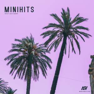 MiniHits