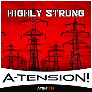 TEN1025 Highly Strung