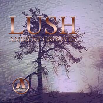 Lush - Ambient Grooves