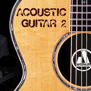 Acoustic Guitar 2