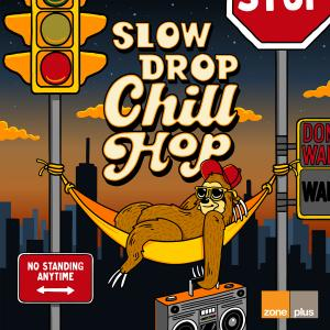 Slow Drop Chill Hop