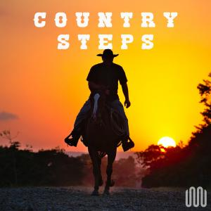 COUNTRY STEPS