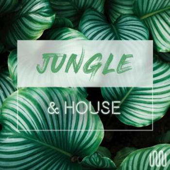 JUNGLE & HOUSE