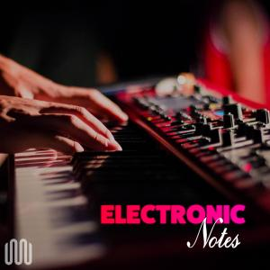 ELECTRONIC NOTES