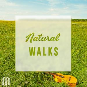 NATURAL WALKS