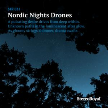 Nordic Nights Drones