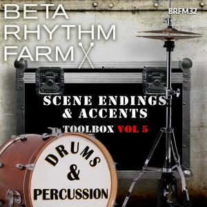 Scene Endings & Accents Toolbox Vol 5 Drums & Percussion BRFM32