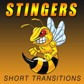 Stingers