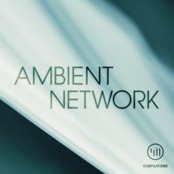 Ambient Network