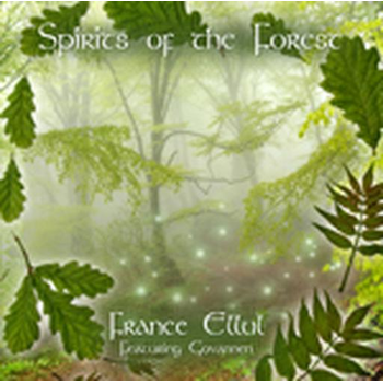 Sprits Of The Forest