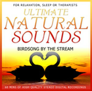 Ultimate Natural Sounds Birdsong By The Stream