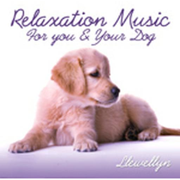 Relaxation Music For You And Your Dog