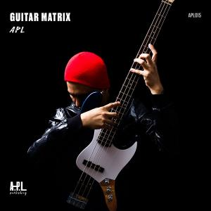 APL 015 Guitar Matrix