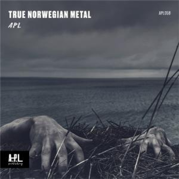 APL 058 Hard Rock Norwegian Metal