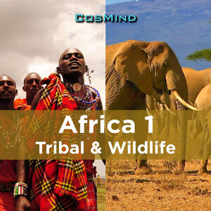 Africa 1