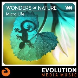 Wonders Of Nature: Micro Life