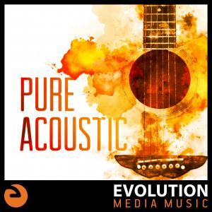 Pure Acoustic