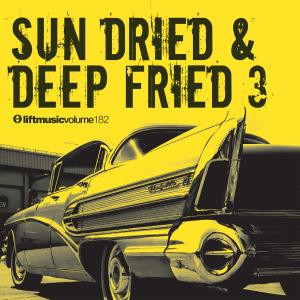 Sun Dried & Deep Fried 3