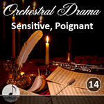 Orchestral 14 Sensetive, Poignant