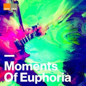 Moments Of Euphoria