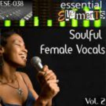  Soulful Female Vocals Vol. 2 